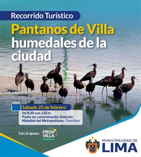 Municipalidad De Lima On Twitter Vamos A Los Pantanosdevilla