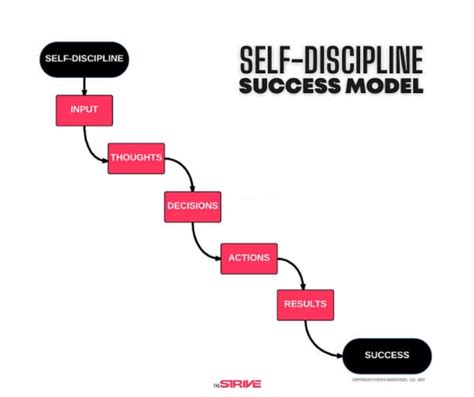 The Real Secret To Success Self Discipline The Strive