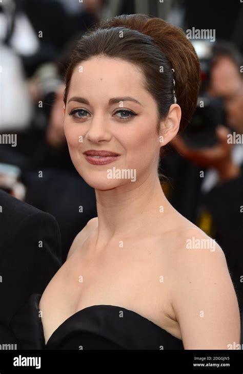 Marion Cotillard Arriving At The Gala Screening Of De Rouille Et D Os