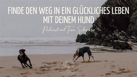 Podcast Finde Den Weg In Ein Gl Ckliches Leben Mit Deinem Hund