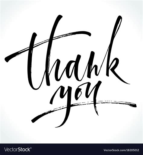 Thank You Modern Calligraphy Royalty Free Vector Image