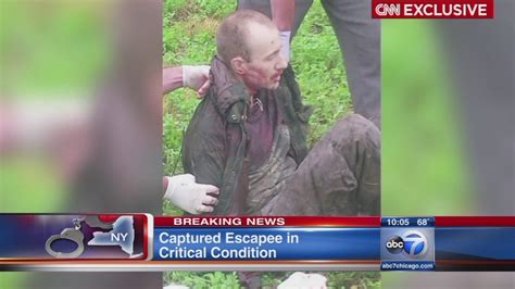 ABC News Escaped Prisoner David Sweat Shot And Captured Abc7chicago