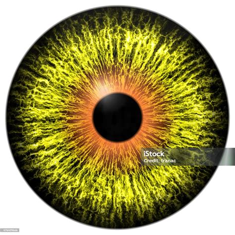 Yellow Alien Eye With Orange Ring Around The Pupil Stock Photo