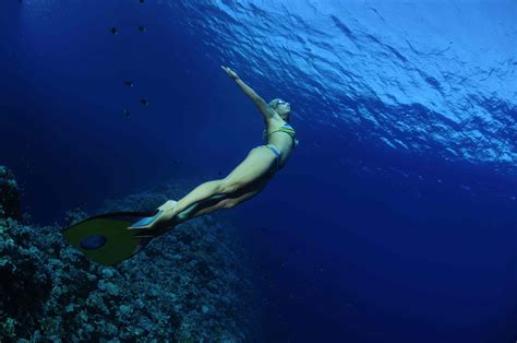 Freediving Wallpapers - Top Free Freediving Backgrounds - WallpaperAccess