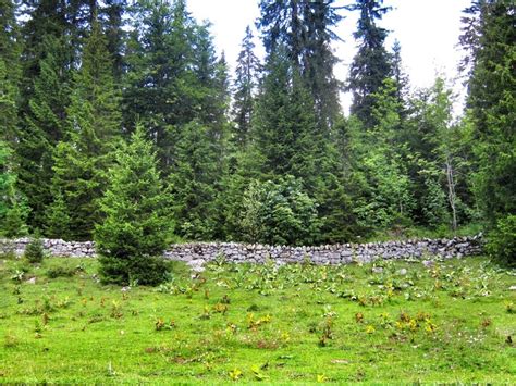 Parc Jura Vaudois Natural Landmarks Jura Mountains Mountains