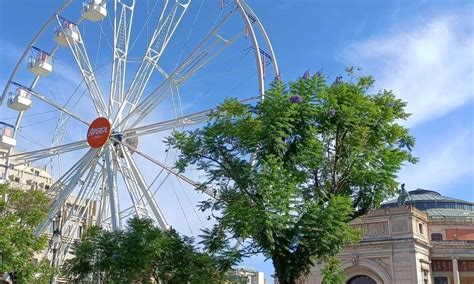 Con La Ruota Panoramica Arriva Il Restauro Del Palchetto Della Musica