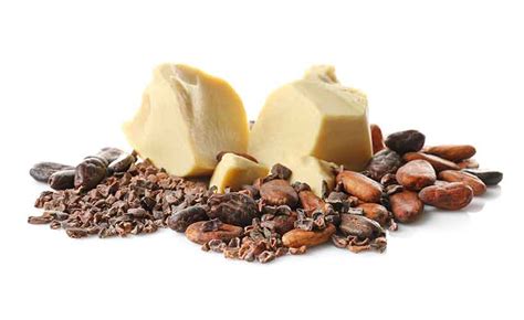 Cocoa Butter 101 Nutrition Profile Health Benefits And Delicious Recipes