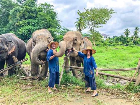 Chiang Mai Excurs O Guiada Ao Santu Rio De Elefantes Em Espanhol