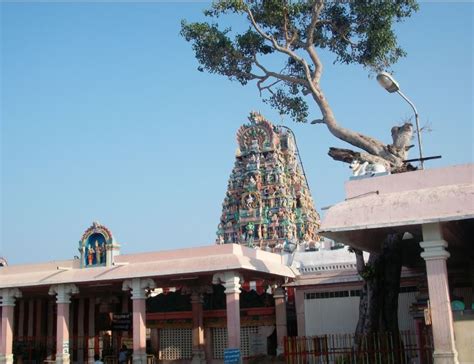 Palani Murugan Temple - Shrine Of The Navapashanam Lingam - Jothishi