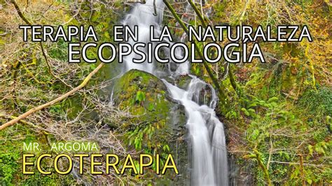 ECOPSICOLOGÍA TERAPIA EN LA NATURALEZA ECOTERAPIA YouTube