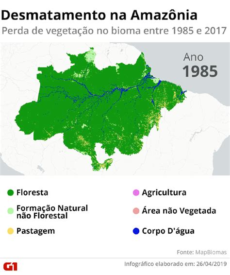 Amazônia perdeu 18 da área de floresta em três décadas mostra análise