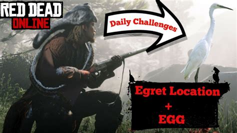 Egret Location Egg Rdr2 Daily Challenges Hunting Guide Red Dead