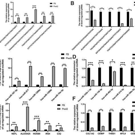 The Kegg And Go Analyses And Gsea Go Enrichment Analysis Of The Mrnas