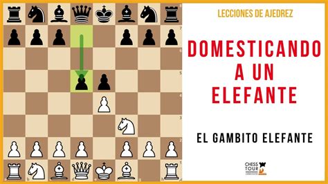 Leccion De Ajedrez Domesticando A Un Elefante El Gambito Elefante