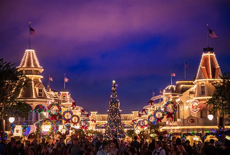 November 2025 at Disney World: Crowd Calendar & Info - Disney Tourist Blog