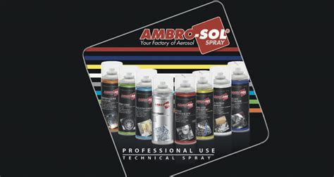 Brand Identity 2019 Ambro Sol Ambro Sol Usa