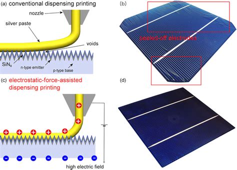 Schematic Illustration Of The Interfacial Contact Of The Silver Paste Download Scientific