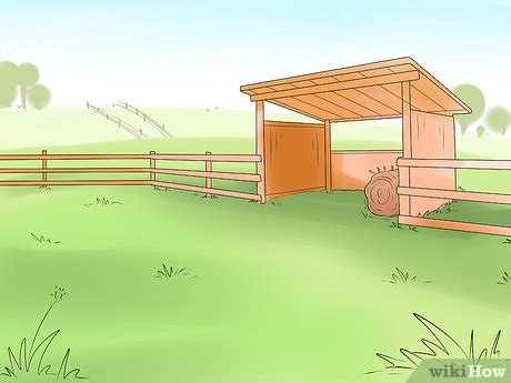 How to Care for a Miniature Horse (with Pictures) - wikiHow