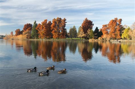 Canon 60D photos at Green Lake Seattle | Digital Photo Central