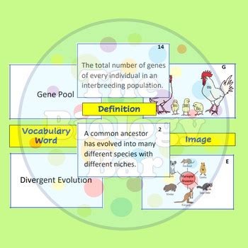 Mechanisms Of Evolution Matching Cards By The Biology Bar TpT