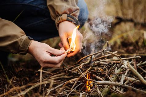 Fueling the Flames: Your Guide to the Best Campfire Wood - Beyond The Tent