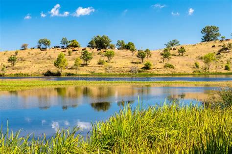 View Of Biviere Lake On A Sunny Summer Day Nebrodi National Park