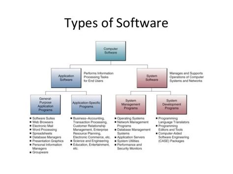 5 Types Of Application Software