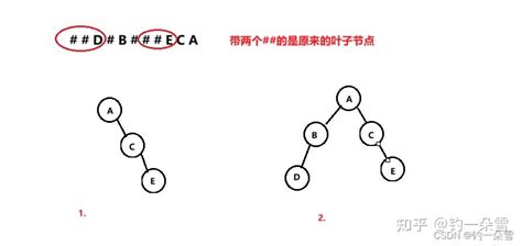 【数据结构】二叉树的建立拓展二叉树法和遍历 知乎