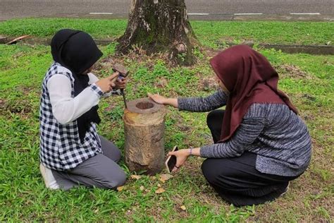 Foto Mengenal Alee Tunjang Kesenian Khas Aceh Yang Nyaris Punah