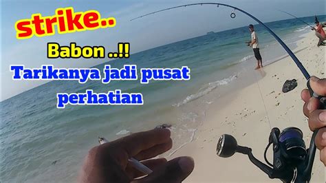 Tarikan Ikan Babon Bikin Tangan Gemetaran Mancing Di Pulau Damar