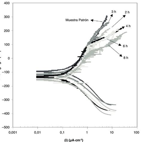 Curvas De Polarizaci N De Acero Inoxidable D Plex Sometido A