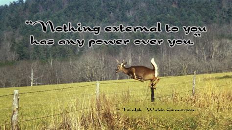 Deer Quotes Quotesgram