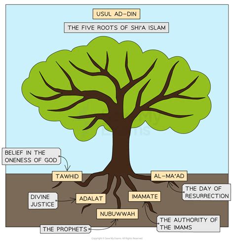 5 Roots Of Usul Ad Din Gcse Rs Revision Notes