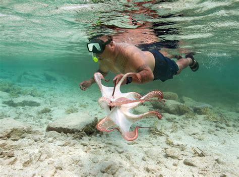 Corey Arnold Bikini Corey Arnold Photographer