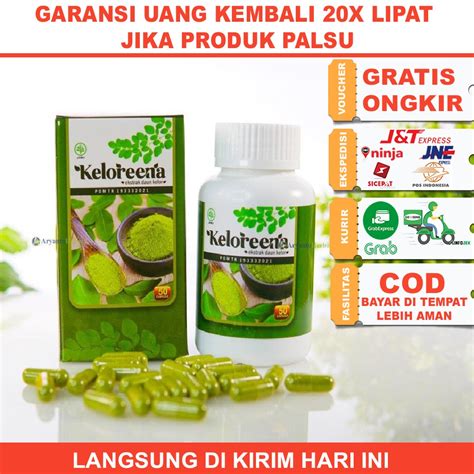 Jual Keloreena Kapsul Daun Kelor Pil Daun Kelor Ekstrak Daun Kelor