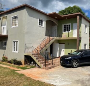 For Rent Bedroom Studio Apartment Belvedere Road Kingston