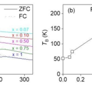 A Zero Field Cooling Zfc And Field Cooling Fc Magnetization Curve