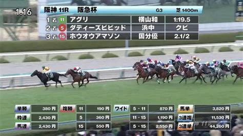 【226 阪急杯ほか】阪神ダイジェストjraレース結果 競馬動画 Netkeiba