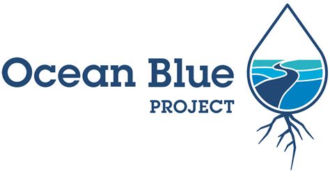 Nonprofit Environmental Organization | Ocean Blue Project