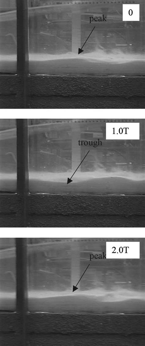 Images of the test section at intervals of one surface wave period | Download Scientific Diagram