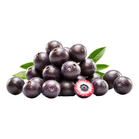 Fresh Harvest Bunch Of Sweet Acai Berries Fruit Isolated On Transparent