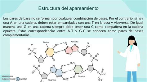 Gran Enga O Funcionar Recluta Apareamiento De Bases Del Adn Impotencia