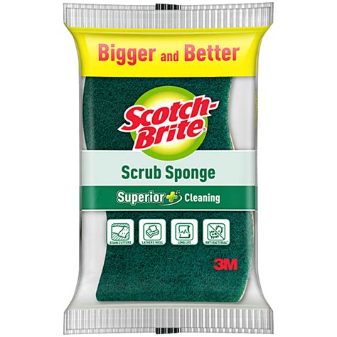 Buy Scotch Brite Scrub Sponge Large Pc Online At Best Price Of Rs