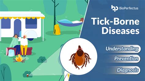 Bioperfectus Tick Borne Diseases Understanding Prevention And Diagnosis