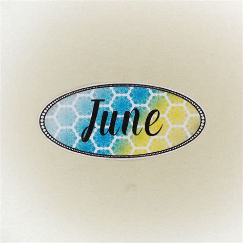 June Sticker June Vinyl Decal Vinyl Sticker Planner Etsy