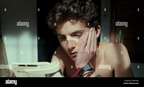 Timothée Chalamet "Call Me by Your Name" (2017) Sony Pictures Classics ...