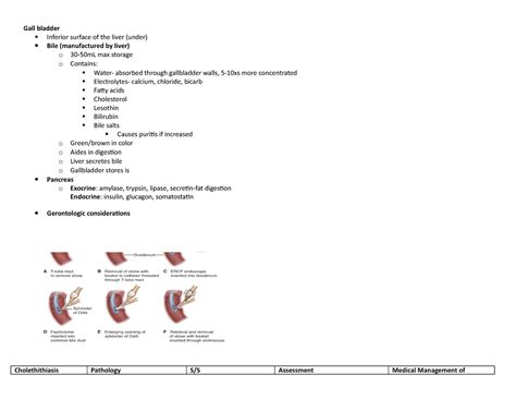 Gall Bladder Mapping Final Gall Bladder Inferior Surface Of The Liver