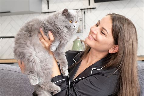 Por qué mi gato me muerde las principales razones Manchas