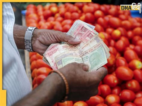 Tomato Price टमाटर ने इस किसान को कर दिया मालामाल 40 दिन में कमाए इतने करोड़ रुपये