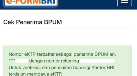 BPUM BRI 2024 Kapan Cair Cek Penerima BLT Rp 2 4 Juta Untuk UMKM Meski